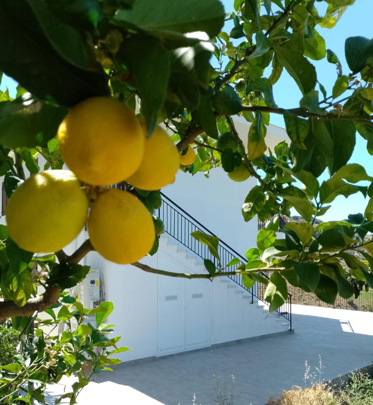 Granatelli Holiday Home Altavilla Milicia Luaran gambar